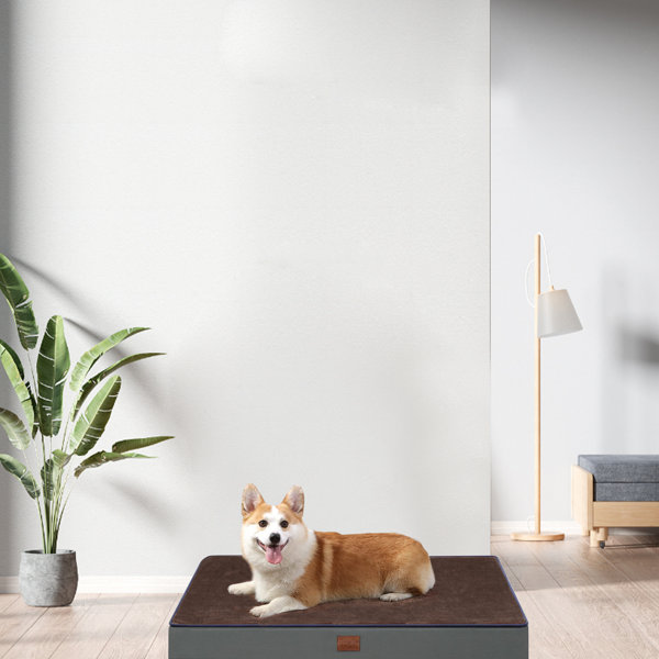 Tucker Murphy Pet™ Connagh Classic Dog Bed Wayfair Canada